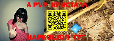 spice Кунгур