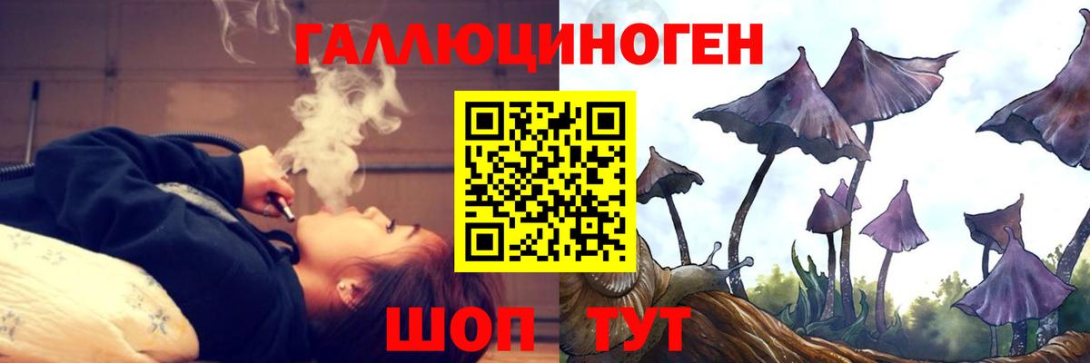 Галлюциногенные грибы мухоморы Конаково