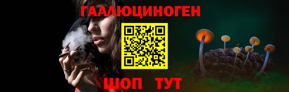 Конаково  Псилоцибиновые грибы ЛСД  Вход с VPN 